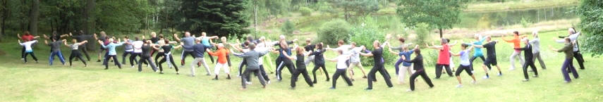 Akademie des DTB-Dachverbands empfiehlt zertifizierte Lehrer-Ausbildung Berlin / Brandenburg fr Qigong, Tai Chi und Push Hands