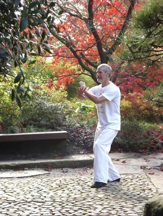 AK Tai Chi Ausbildung Cottbus